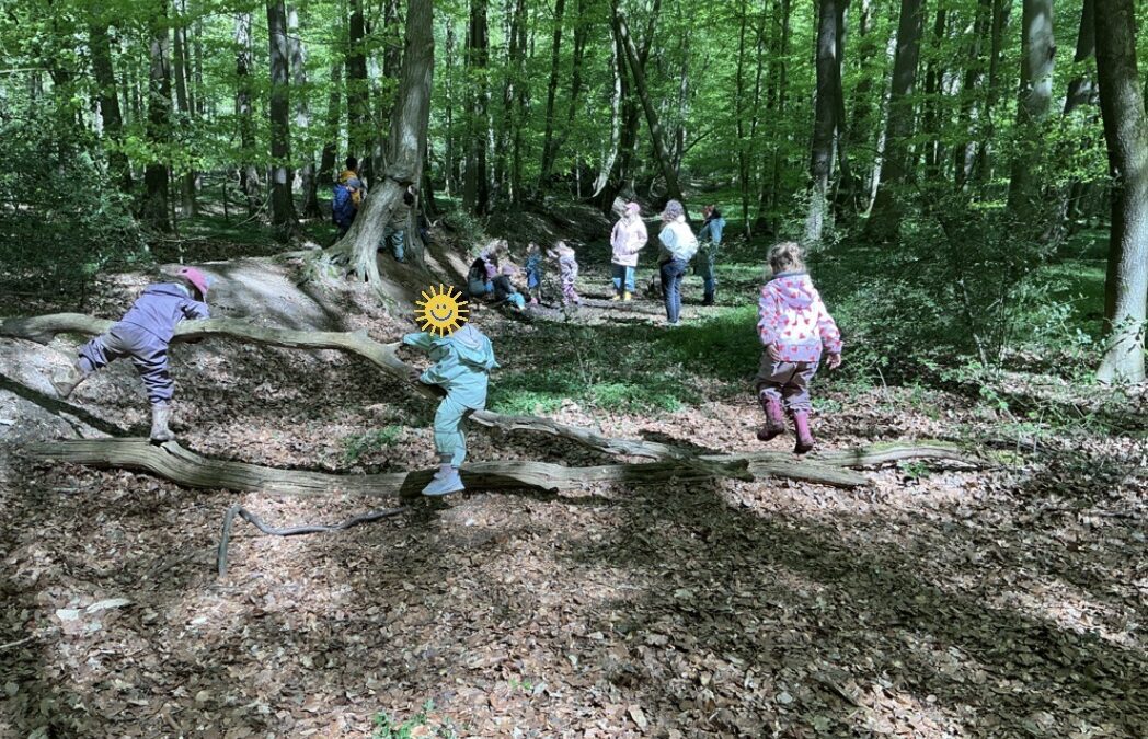 Waldtage bei der Fledermausgruppe