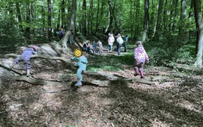 Waldtage bei der Fledermausgruppe